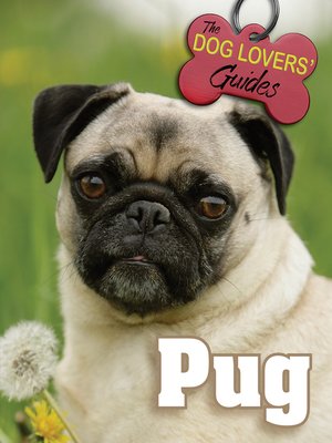 cover image of Pug